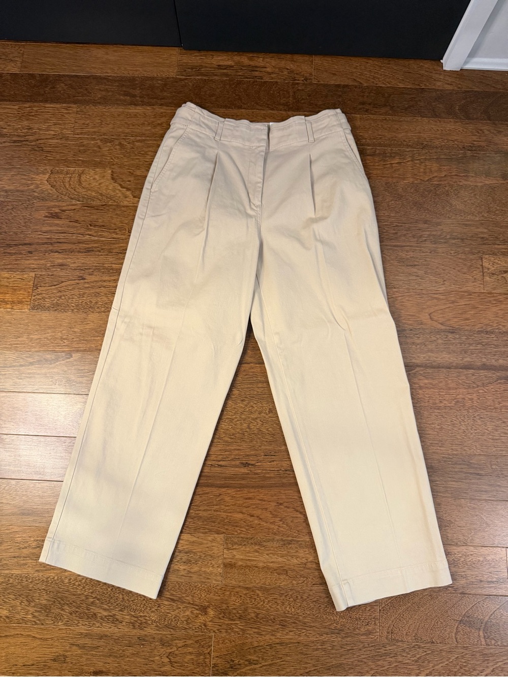 Ann Taylor Beige Pleated Trousers- Elevated Khaki’s